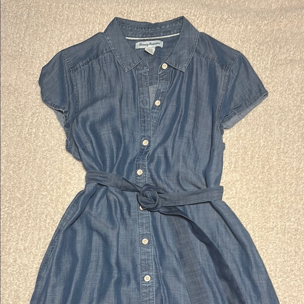 Denim Blue Button-Up Dress
